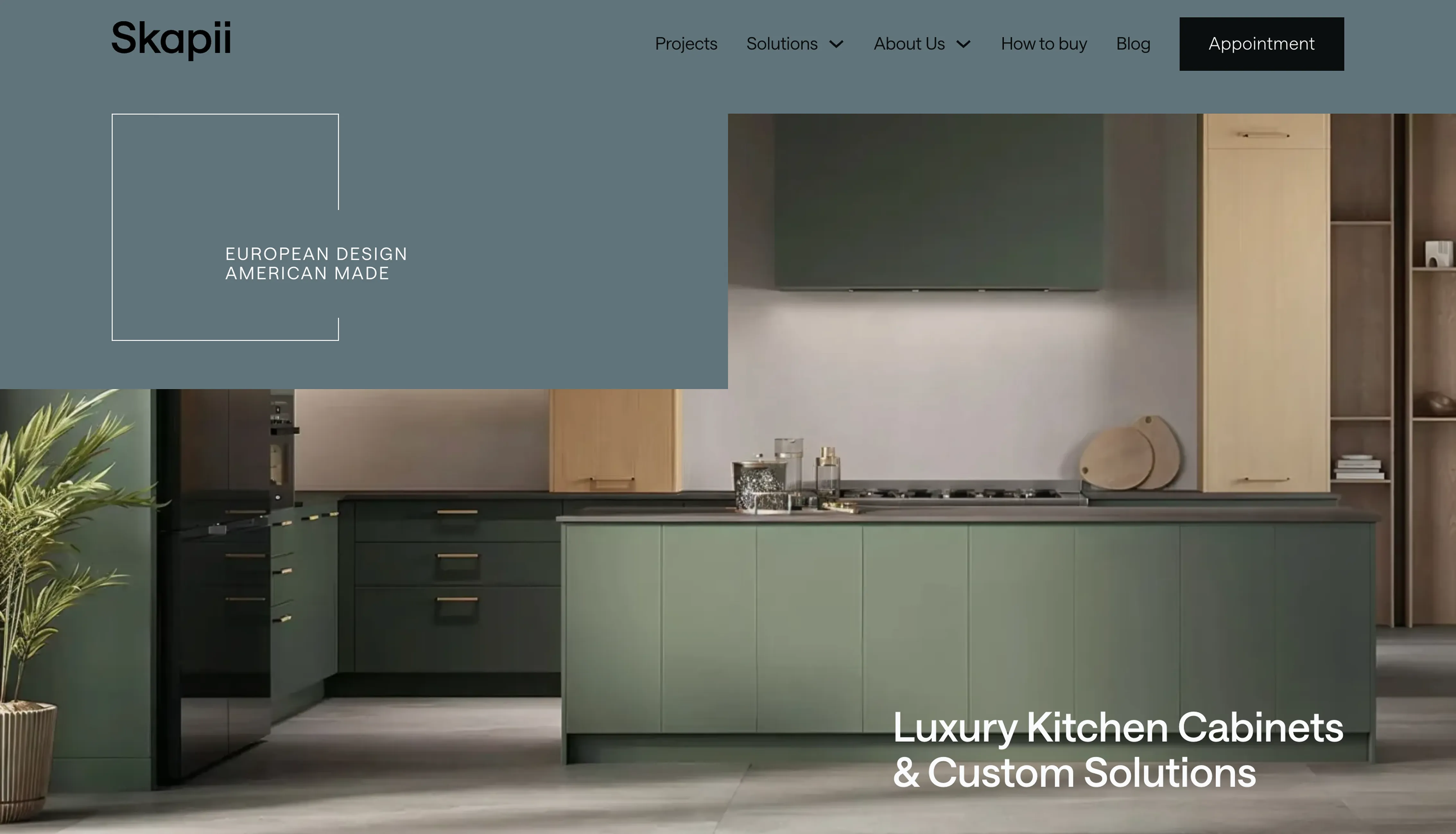 Skapii — custom kitchen cabinets website design by PNW Contractor Marketing